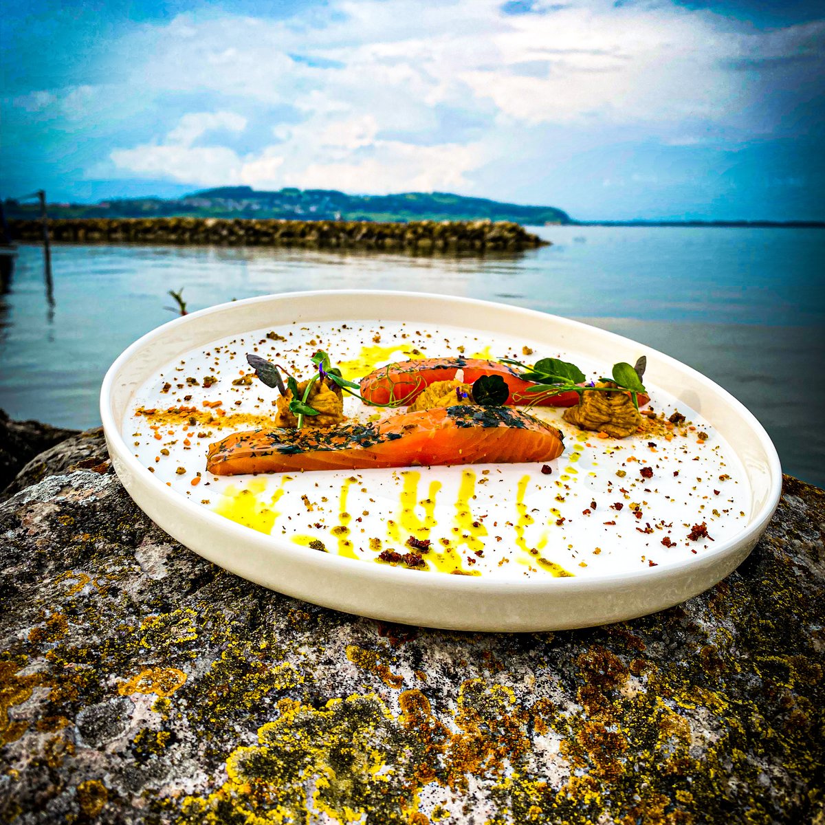 restaurant werft 9551595 faoug vaud schweiz